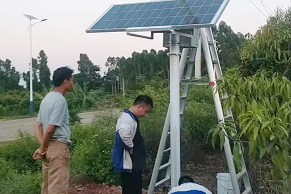 雷州市芒果產業園綜合數字化公共服務平臺項目農業四情監(jiān)測系統案例